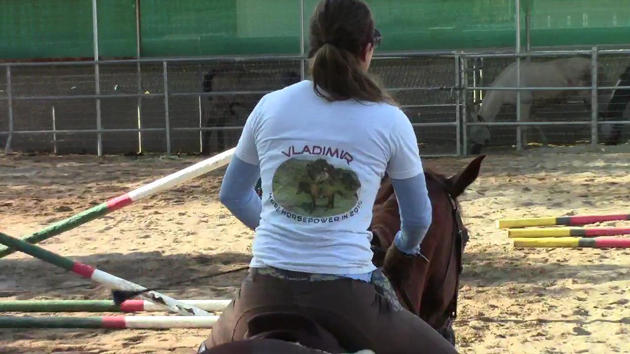 Russia-Horses-04.jpg
